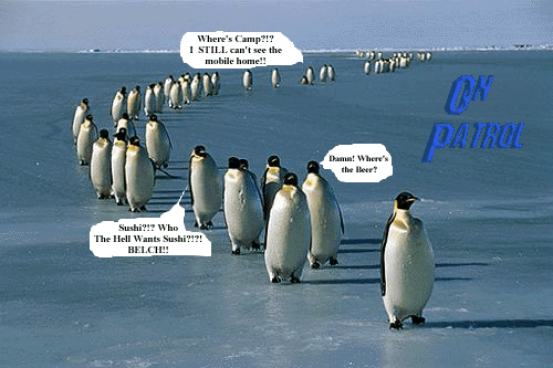 The Penguins on Parade