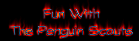 The Penguin Scouts!